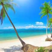 Top Activities to Do in Los Cabos Mexico