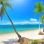 Top Activities to Do in Los Cabos Mexico